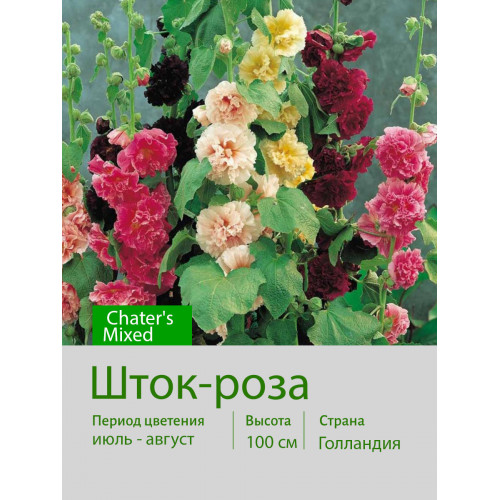 Шток-роза   Chater's Mixed