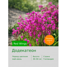 Додекатеон Red Wings