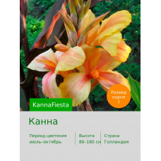 Канна Fiesta