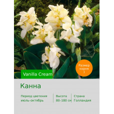 Канна Vanilla Cream