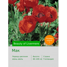 Мак Beauty of Livermere
