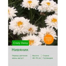 Нивяник Crazy Daisy