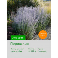 Перовския Little Spire®