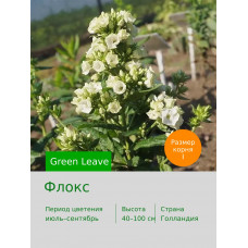 Флокс Green Leave®