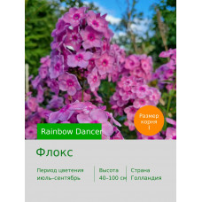 Флокс Rainbow Dancer®