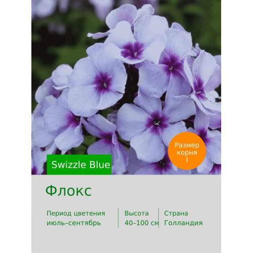 Флокс Swizzle Blue®