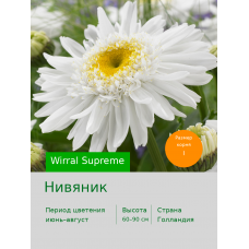 Нивяник Wirral Supreme